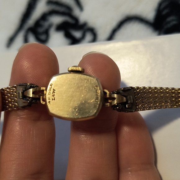 Hamilton 14k solid gold with 10k GF wristlet band main image 14